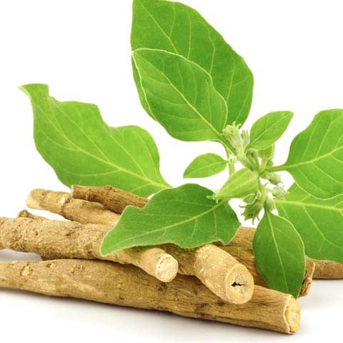 Spartamax-ingredient